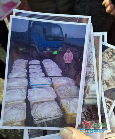 南昌县武阳镇12户蘑菇种植户突遭变故 几百万