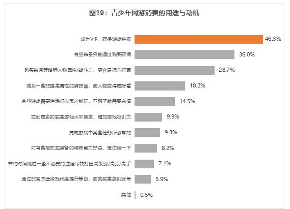消费用途和动机