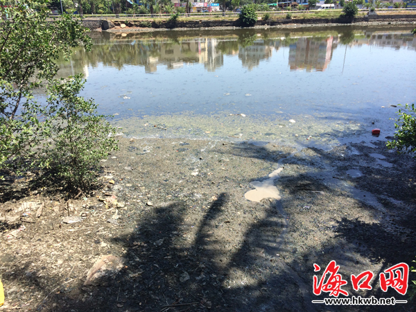 白沙河水面上漂浮着一层淤泥,令人作呕