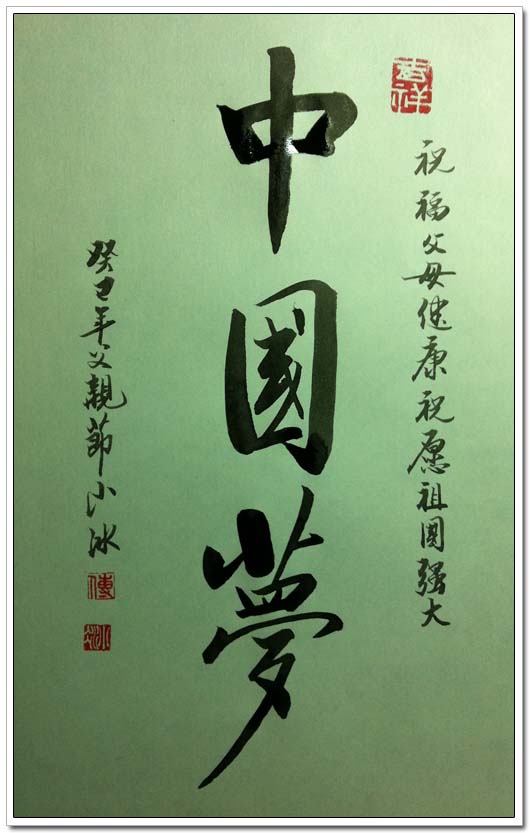 傅小冰书法作品集-中国梦