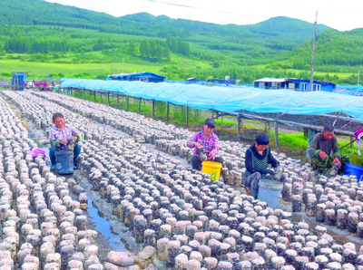 延边地区一共有多少人口_嘉峪关一共有多少人口
