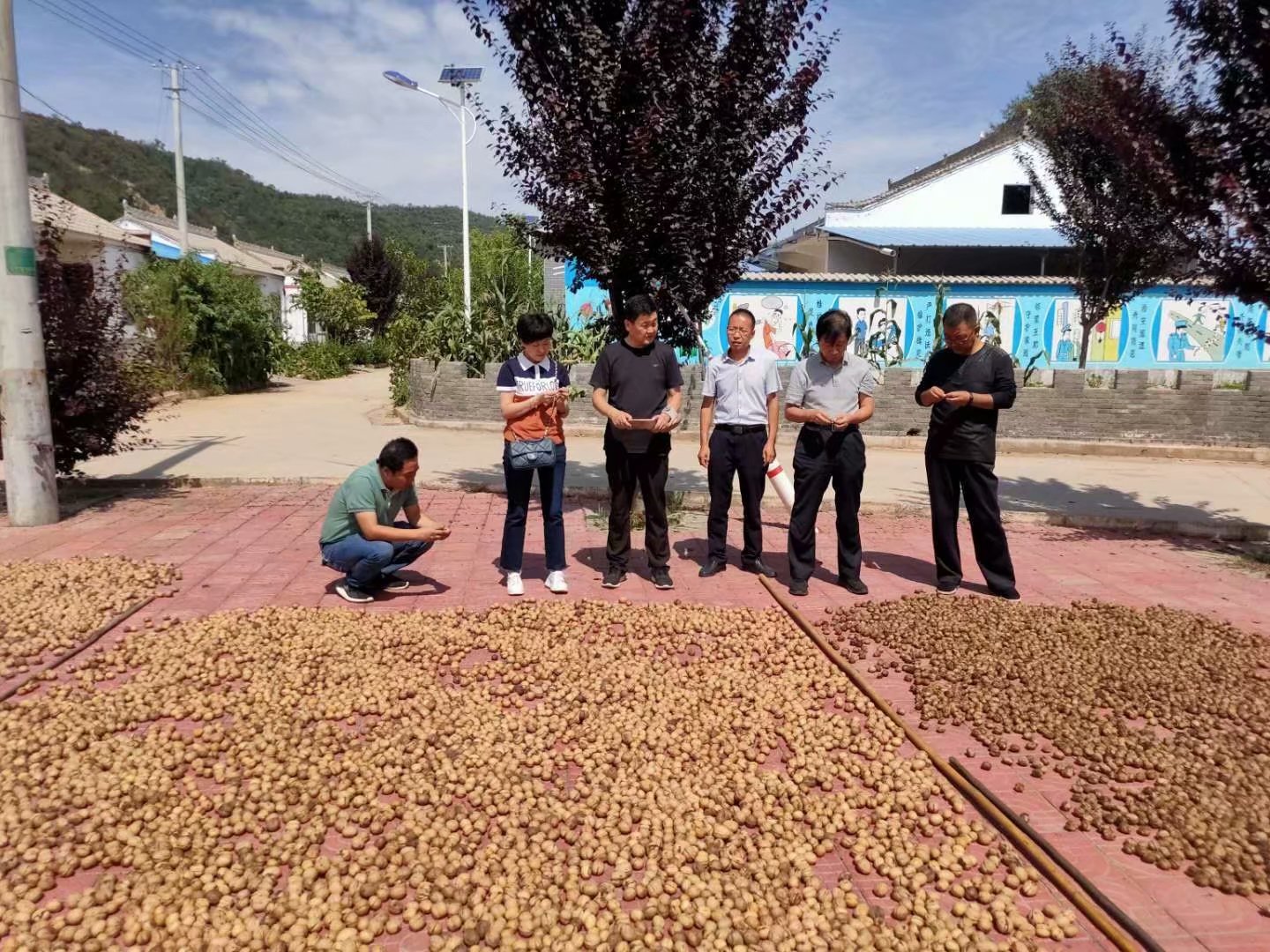 陕西省麟游县酒房镇花花庙村第一书记郭宏伟守望大山践初心实干圆梦奔