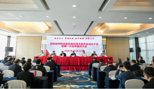 中国标准化