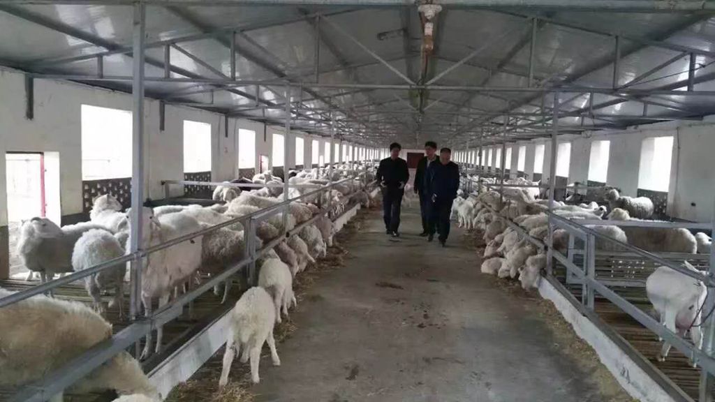 中国标准化