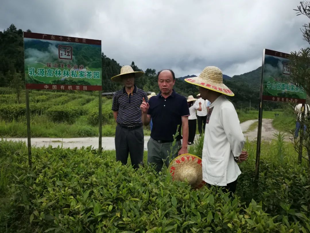 中国标准化