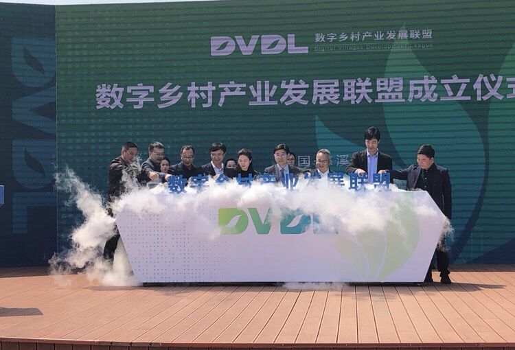 中国标准化