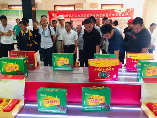 中国标准化