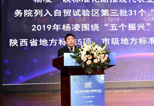 中国标准化