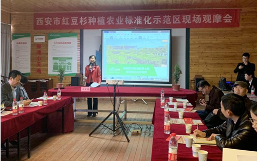 中国标准化