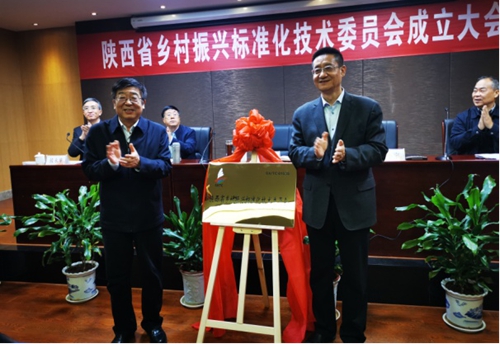 中国标准化