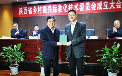 中国标准化