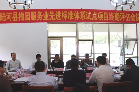 中国标准化