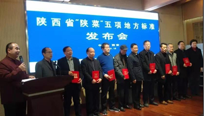 中国标准化