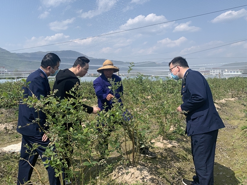 浙江省临海市再添一件国家地理标志证明商标 数