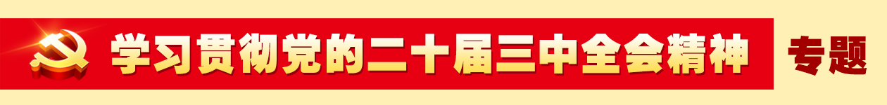 学习贯彻党的二十届三中全会精神