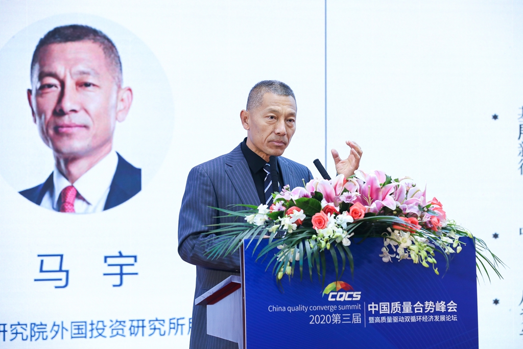 商务部研究院外国投资研究所所长马宇