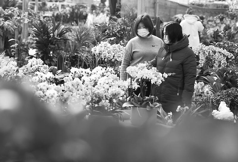 河北省石家庄市长安区肖家营花卉市场 中国质量新闻网 河北省石家庄市长安区肖家营花卉市场 中国质量新闻网