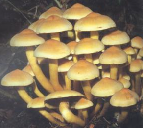 1629196764(1).png