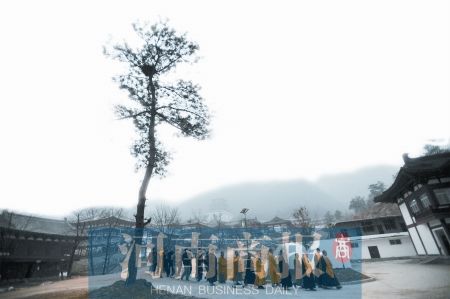 河南商报记者 王棣 文/图 河南商报记者 王棣 文/图
