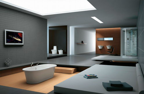 2012卫浴行业创意节能将成未来方向
