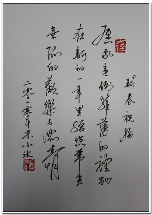 傅小冰书法作品集新春祝福