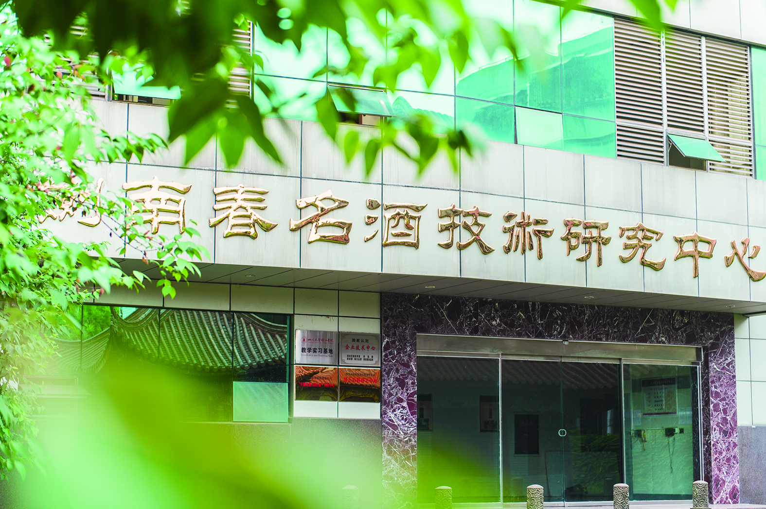 3519126_chenyiming_1741608129096.jpg