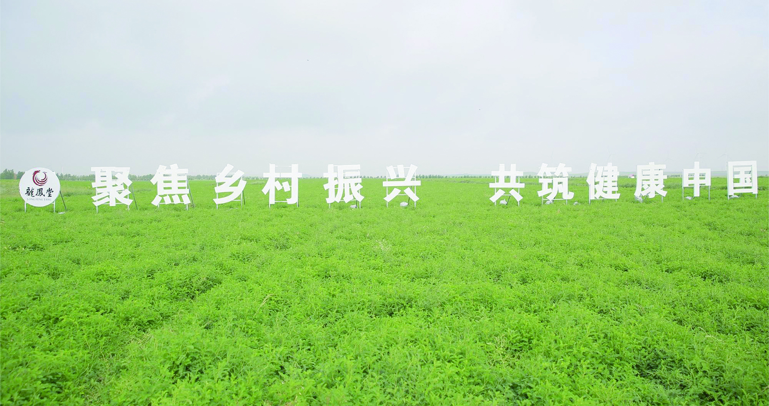 3736300_chenyiming_1746596203186.jpg