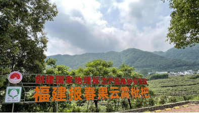 JN江南体育强化示范引领带动 擦亮区域金字招牌——福建高标准建设国家地理标志产品(图3)