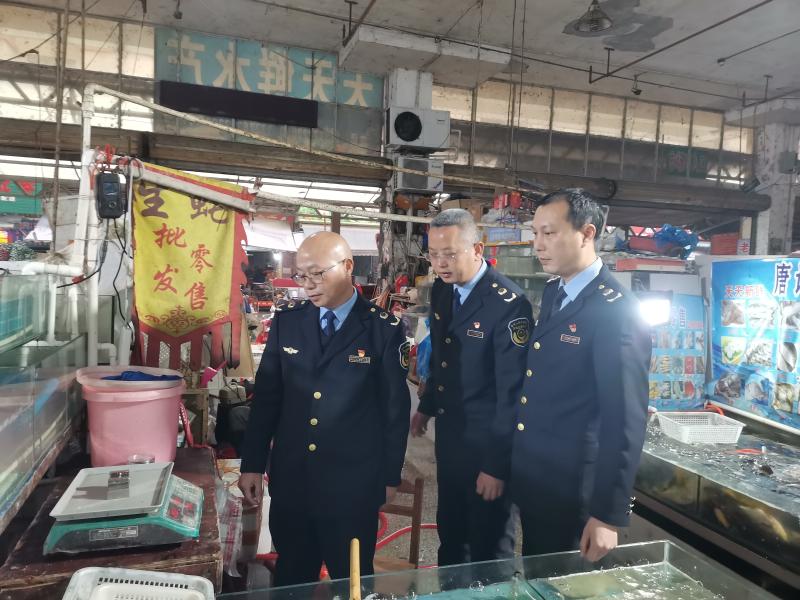 广西融安县：守护计量精准  共促消费公平_3月7日，融安县市场监督管理局执法人员对集贸市场内的计价秤开展检查.jpg_608691b7b891417bbb237e4dcd54413c.jpg