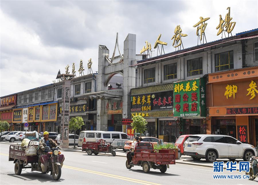 （走向我们的小康生活）（12）人参产业助民增收